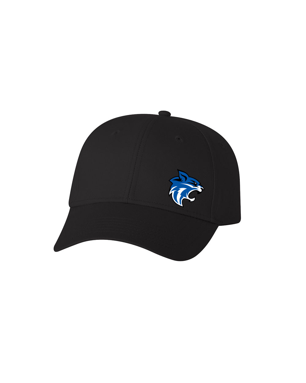 Southview School - Hat